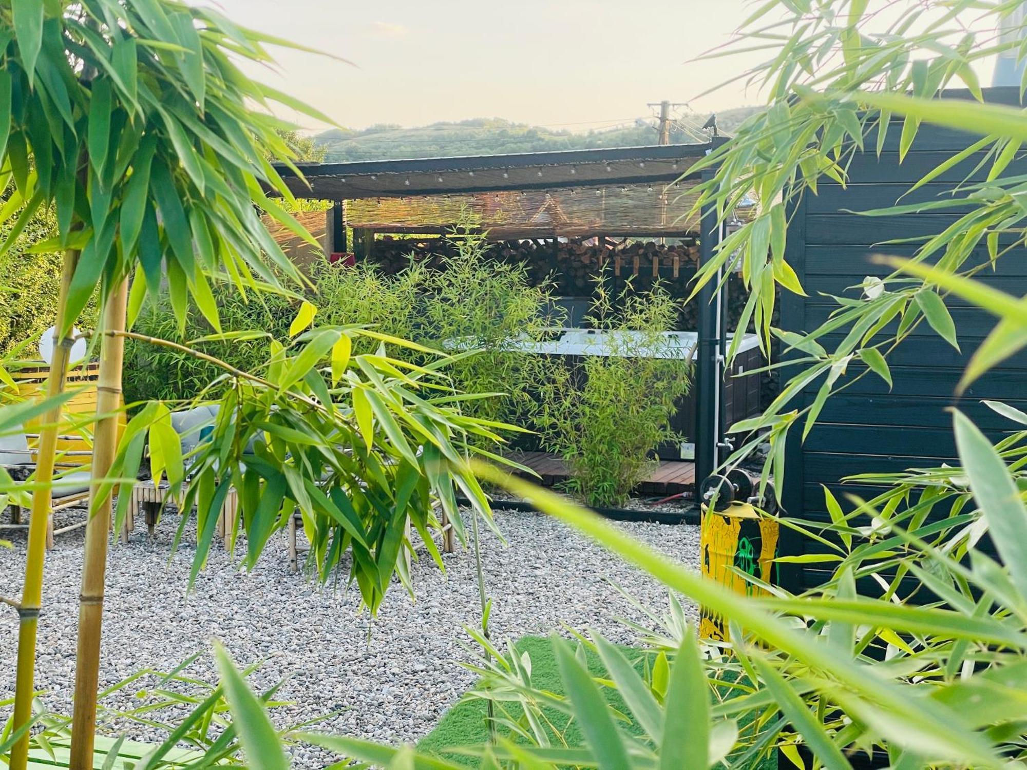 Bambuus Garden & Dragasani