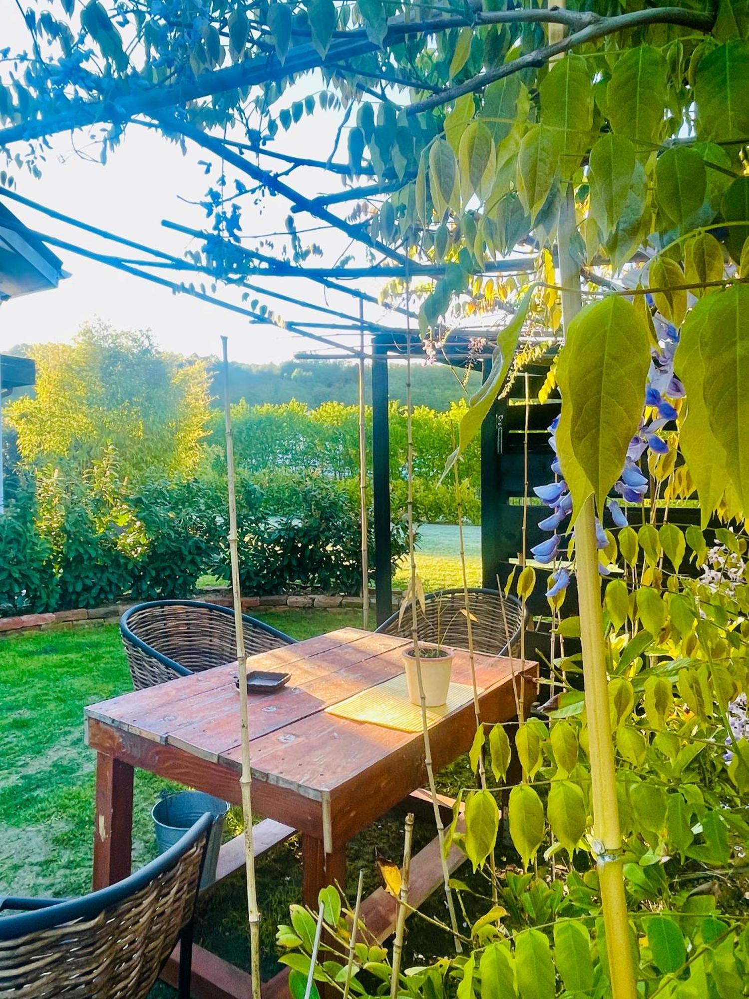 Bambuus Garden & Homestay Dragasani