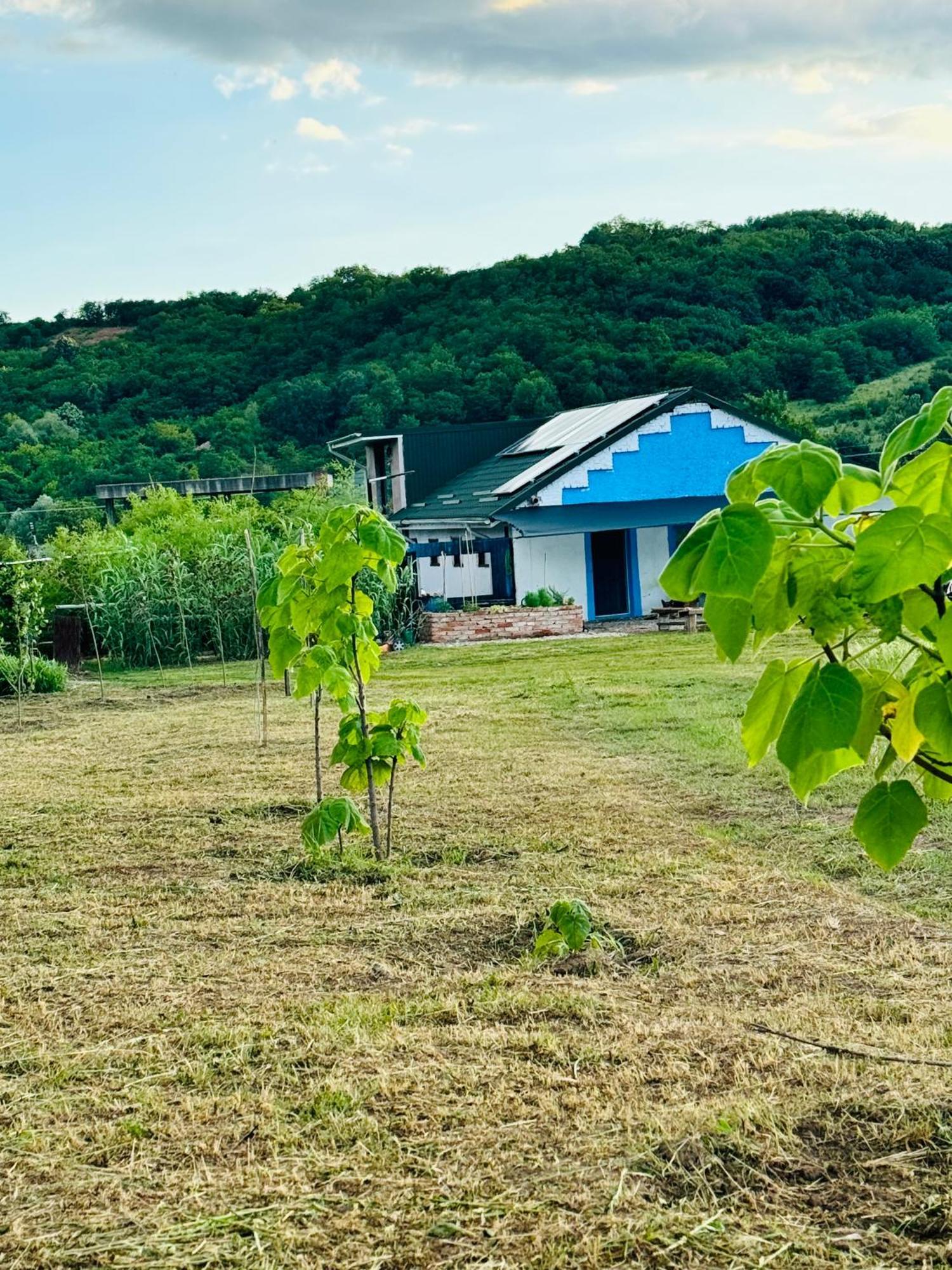 Bambuus Garden & Homestay Dragasani