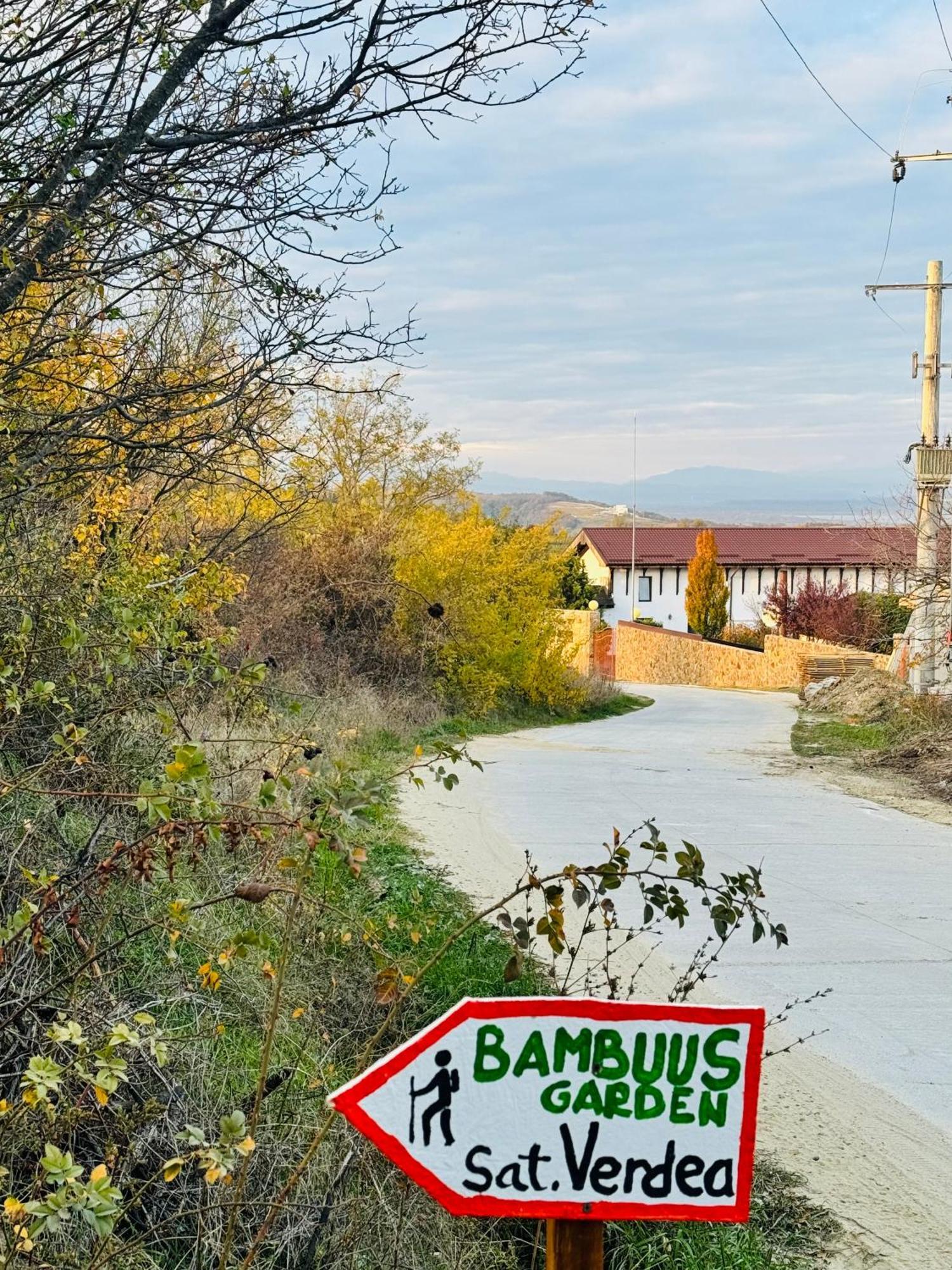 Bambuus Garden & Dragasani